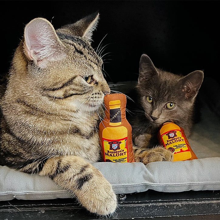 Customizable Catnip Toys: You've Got To Be Kitten Me