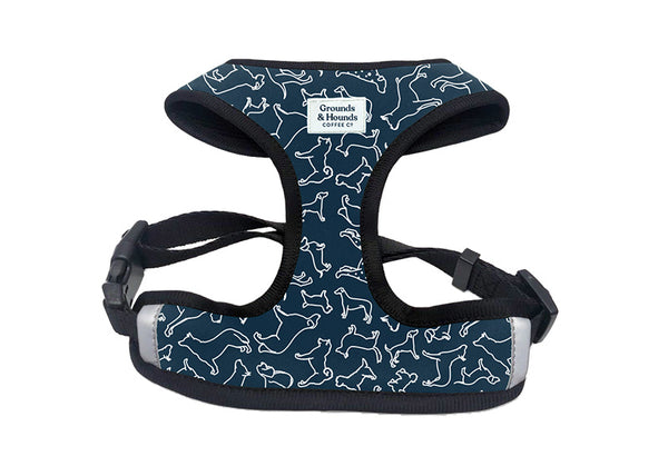 Chest Dog Harnesses For Speed and Comfort on Walks
