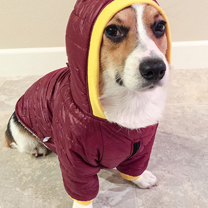 Bark in the Parka: Customizable Dog Winter Coats