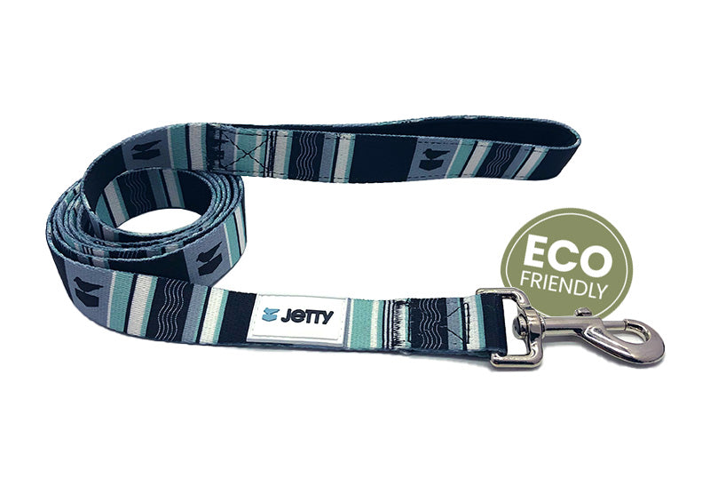 The Eco Friendly Dog Leash