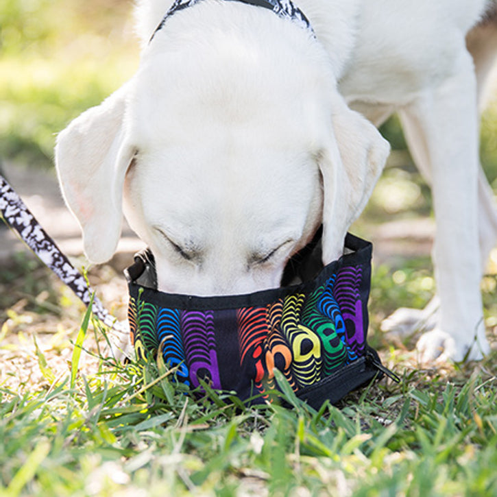 Zippered Foldable Travel Dog Bowls