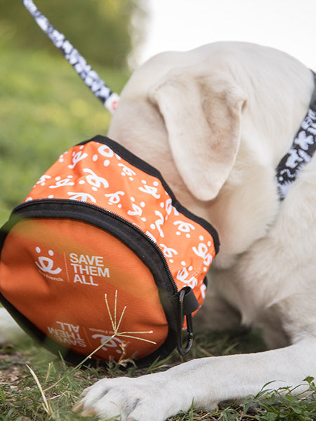 Zippered Foldable Travel Dog Bowls