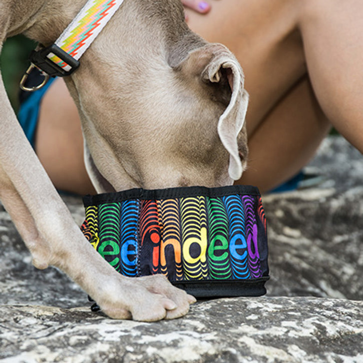 Zippered Foldable Travel Dog Bowls