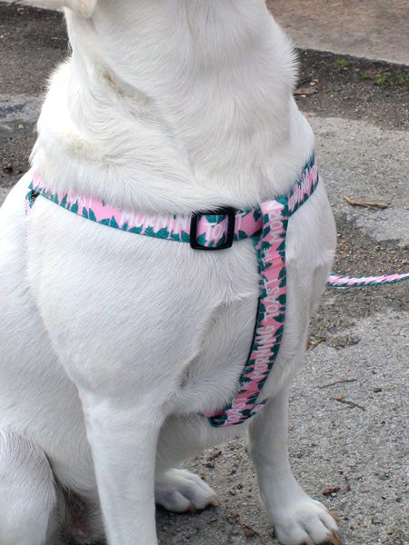 Step In Dog Harnesses For Safer Walks