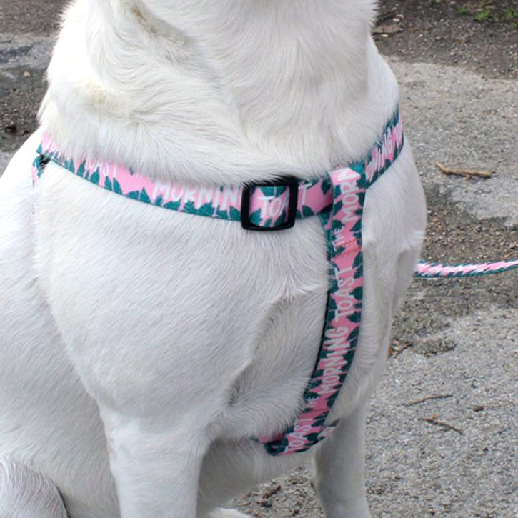 Step In Dog Harnesses For Safer Walks