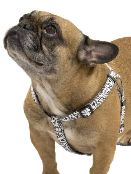 Step In Dog Harnesses For Safer Walks