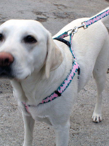 Step In Dog Harnesses For Safer Walks