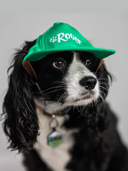 The Official Canine Cap