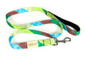 colorful dog leash