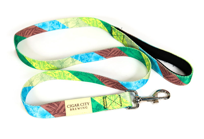 colorful dog leash