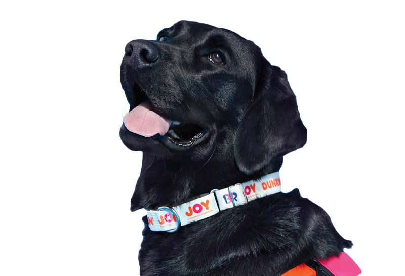 Martingale Collars: The Limited-Slip Dog Collars