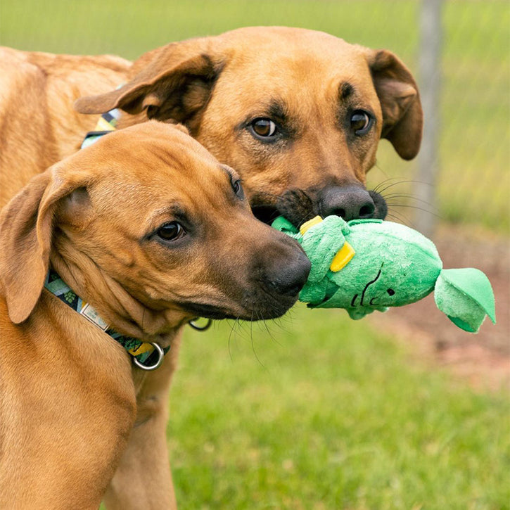 Customizable Plush Dog Toys