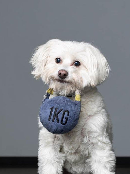 Customizable Plush Dog Toys