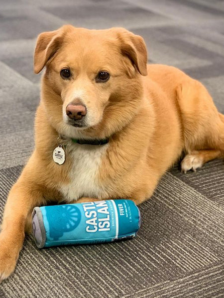 Customizable Beer Can Dog Toys