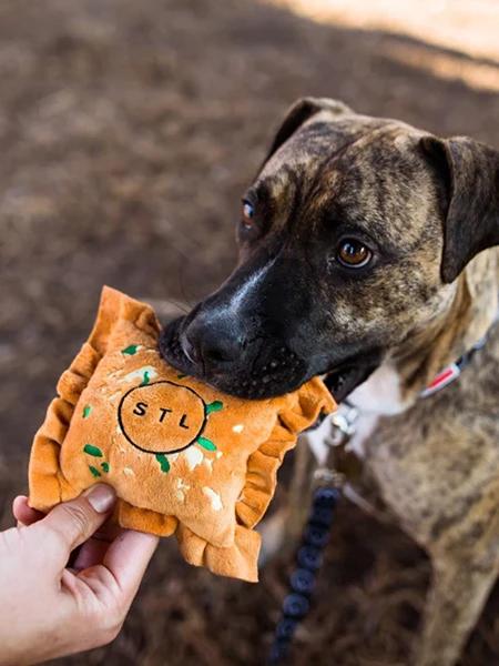 Customizable Plush Dog Toys