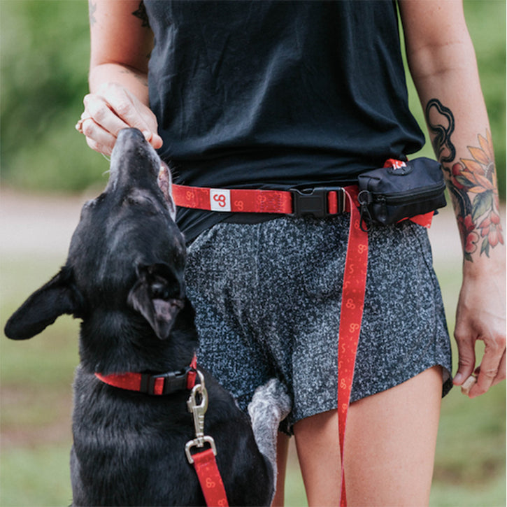 Born To Run: Customizable Dog Running Leashes