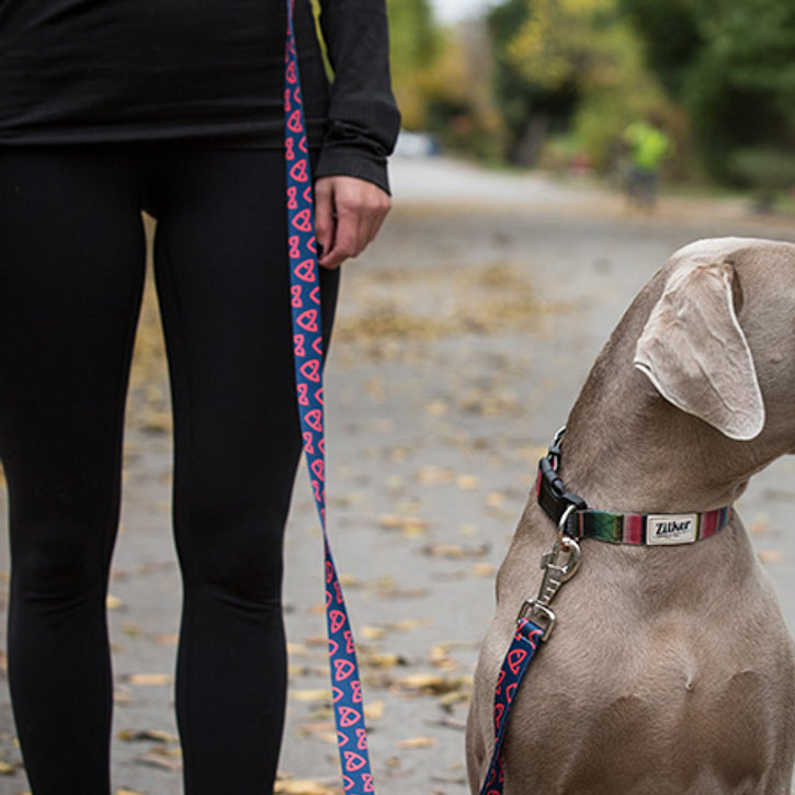 Born To Run: Customizable Dog Running Leashes