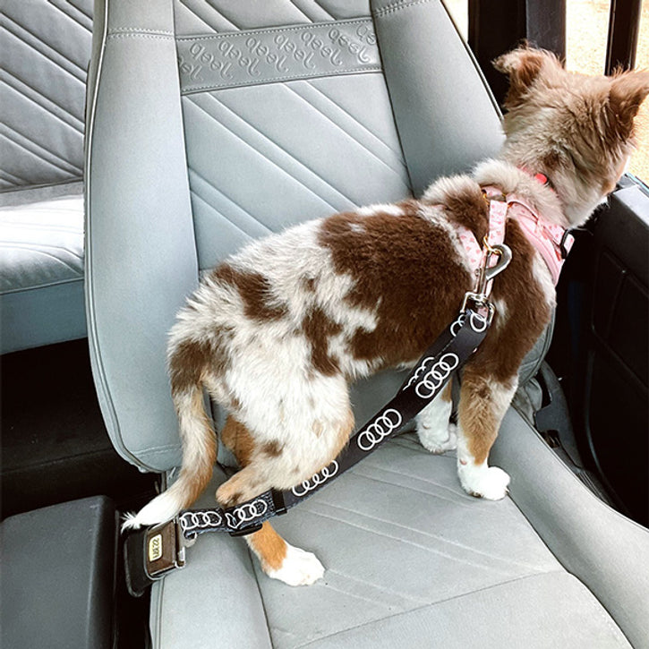 Bone Print Pet Car Seat Belt