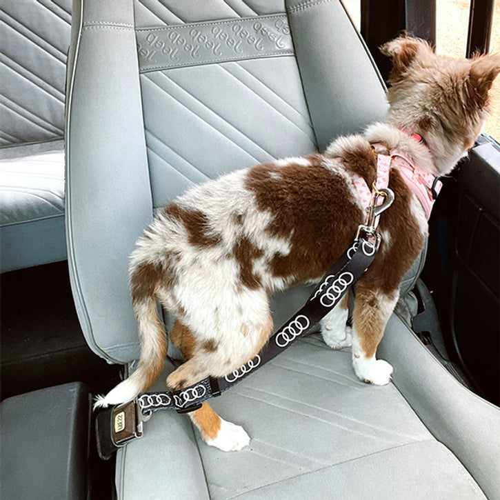 Customizable Dog Car Seat Belts