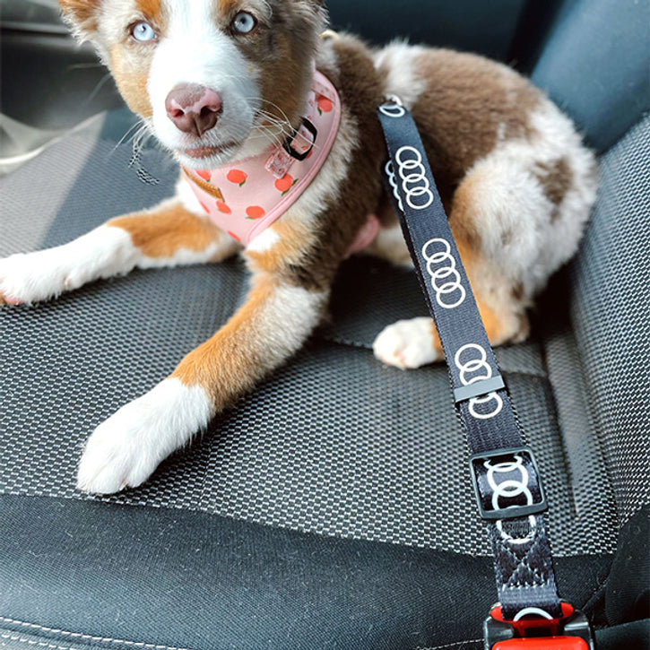 Customizable Dog Car Seat Belts