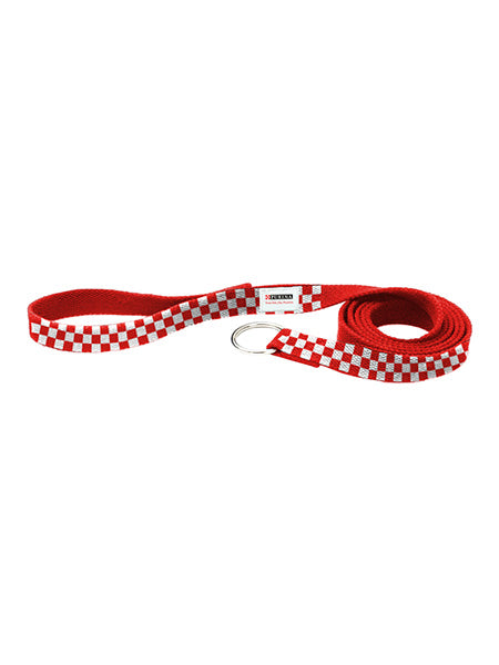 Customizable Slip Leash