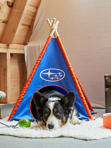 Customizable Dog Teepees: Not Your Average Dog House