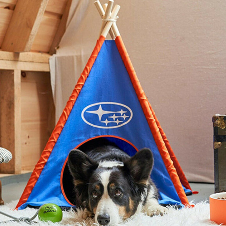 Customizable Dog Teepees: Not Your Average Dog House