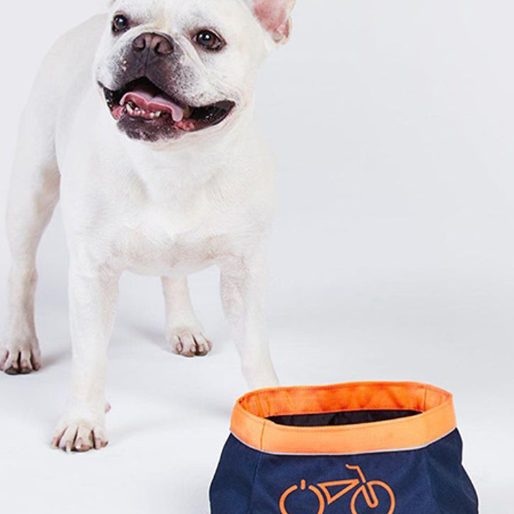 The Eco Friendly Travel Dog Bowls