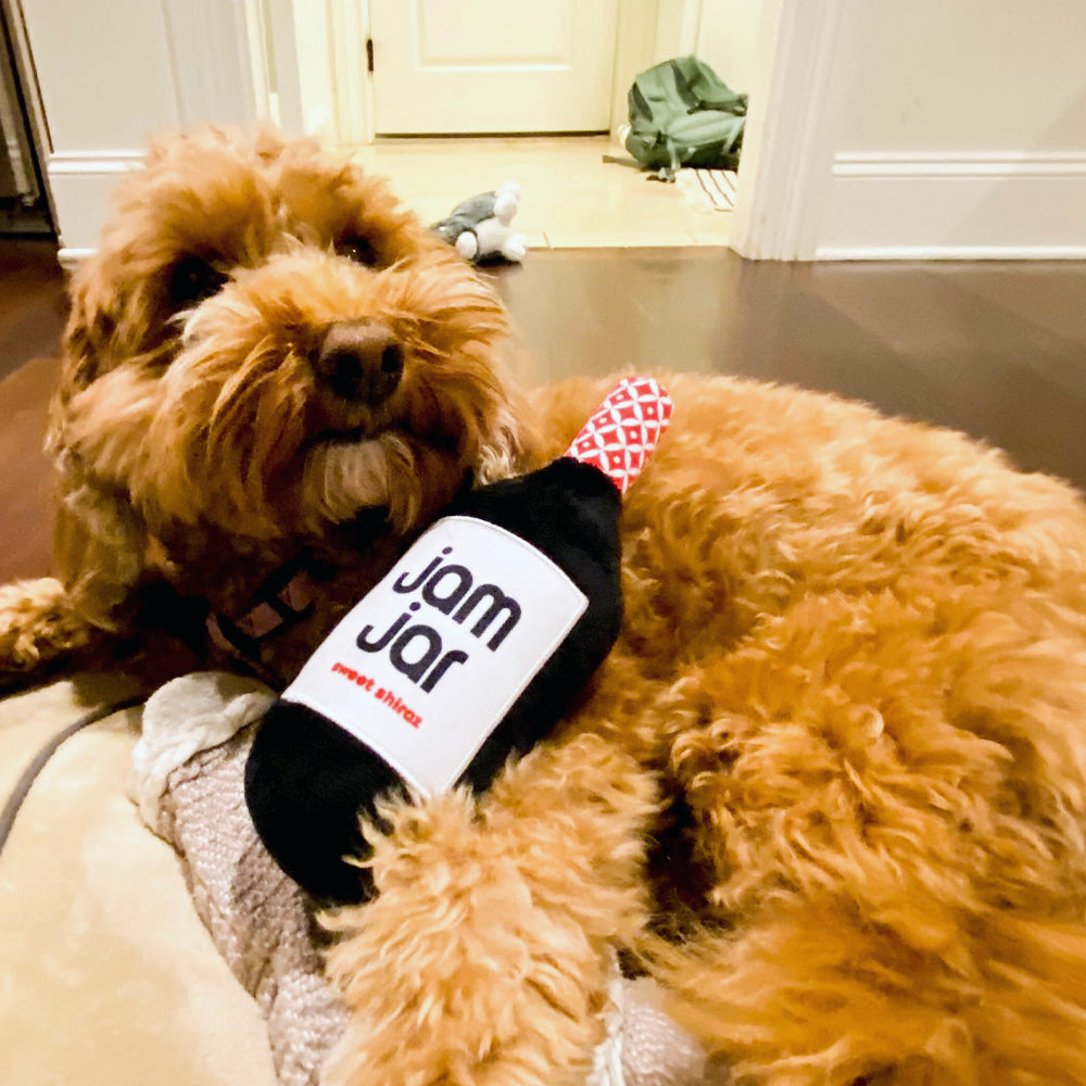 Bottle Dog Toys: Wine Not?