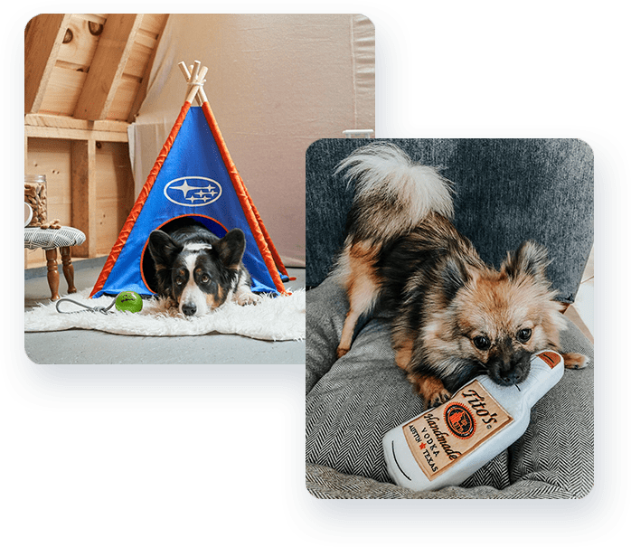 Pridebites Customizable Pet Products | As Seen On Shark Tank